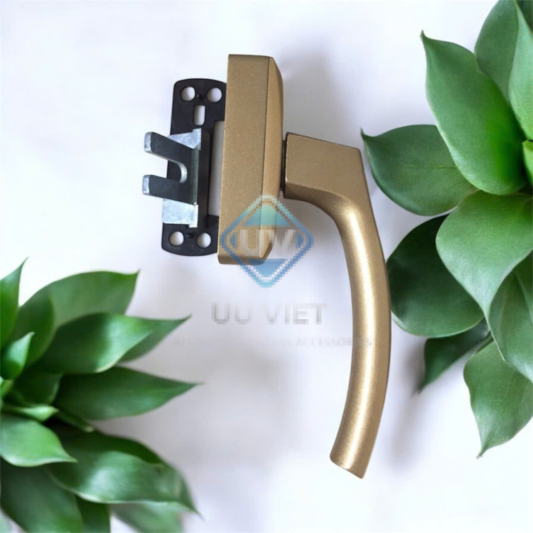 TAY ĐA ĐIỂM CANDY CHAMPANH